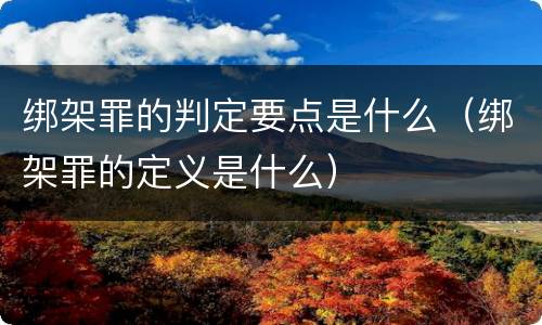 绑架罪的判定要点是什么（绑架罪的定义是什么）