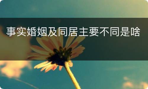 事实婚姻及同居主要不同是啥