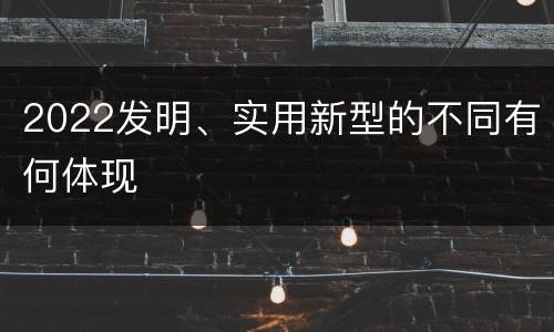 2022发明、实用新型的不同有何体现