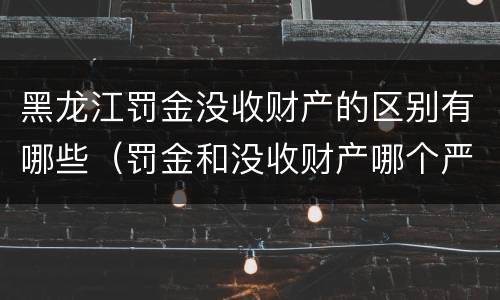 黑龙江罚金没收财产的区别有哪些（罚金和没收财产哪个严重）