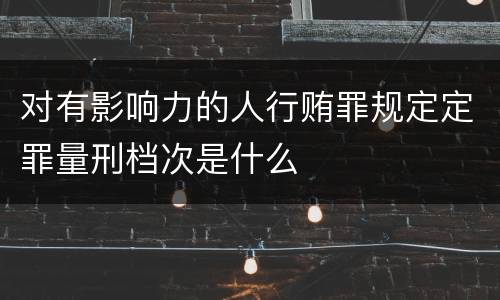 对有影响力的人行贿罪规定定罪量刑档次是什么