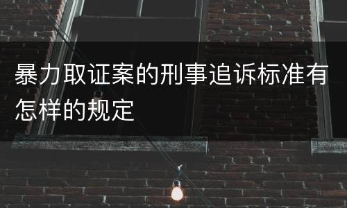 暴力取证案的刑事追诉标准有怎样的规定