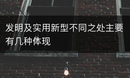 发明及实用新型不同之处主要有几种体现