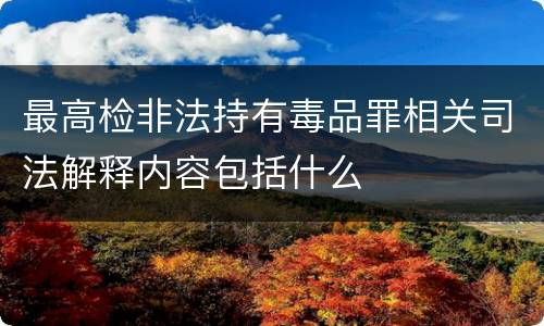 最高检非法持有毒品罪相关司法解释内容包括什么