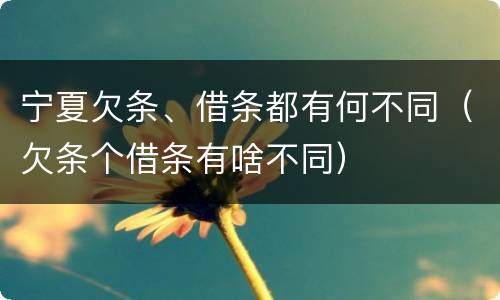 宁夏欠条、借条都有何不同（欠条个借条有啥不同）