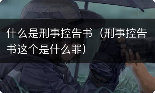 什么是刑事控告书（刑事控告书这个是什么罪）