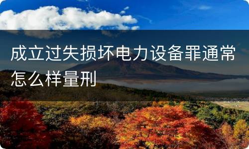 成立过失损坏电力设备罪通常怎么样量刑