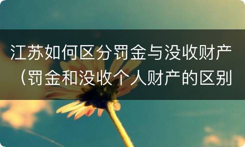 江苏如何区分罚金与没收财产（罚金和没收个人财产的区别）