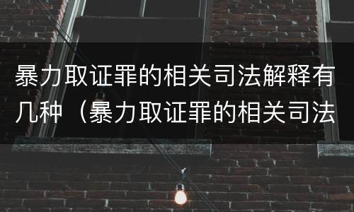 暴力取证罪的相关司法解释有几种（暴力取证罪的相关司法解释有几种情形）