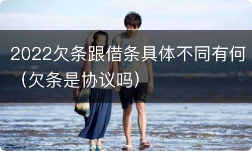 2022欠条跟借条具体不同有何（欠条是协议吗）