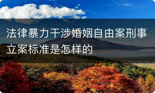 法律暴力干涉婚姻自由案刑事立案标准是怎样的