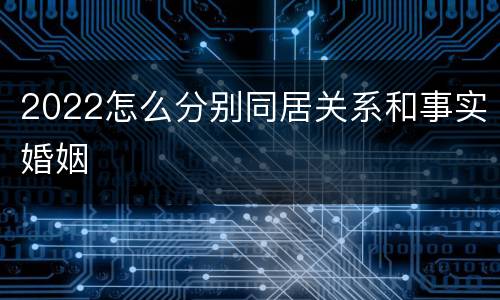 2022怎么分别同居关系和事实婚姻