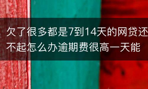 欠了很多都是7到14天的网贷还不起怎么办逾期费很高一天能张几百