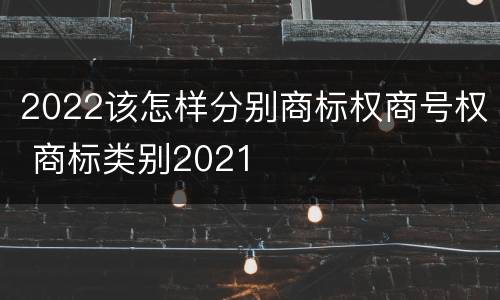 2022该怎样分别商标权商号权 商标类别2021