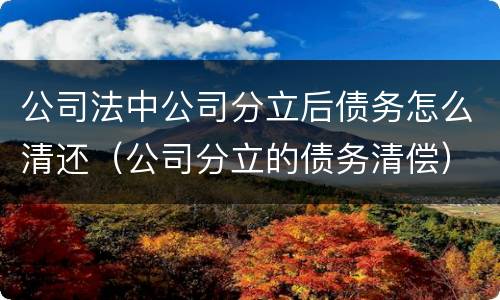 公司法中公司分立后债务怎么清还（公司分立的债务清偿）