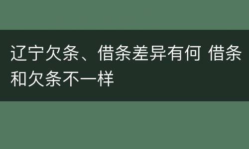 辽宁欠条、借条差异有何 借条和欠条不一样
