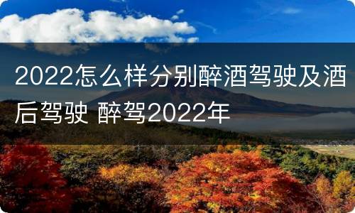 2022怎么样分别醉酒驾驶及酒后驾驶 醉驾2022年