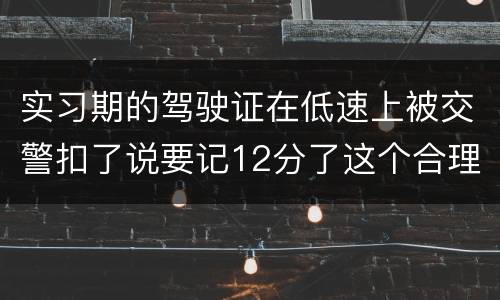 实习期的驾驶证在低速上被交警扣了说要记12分了这个合理吗