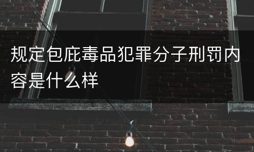 规定包庇毒品犯罪分子刑罚内容是什么样