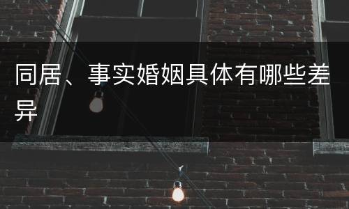 同居、事实婚姻具体有哪些差异