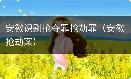 安徽识别抢夺罪抢劫罪（安徽抢劫案）