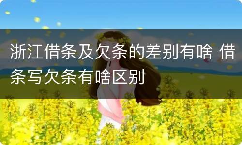 浙江借条及欠条的差别有啥 借条写欠条有啥区别