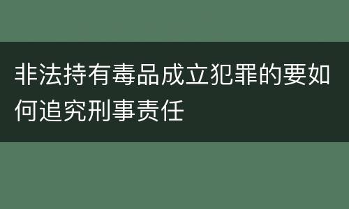非法持有毒品成立犯罪的要如何追究刑事责任