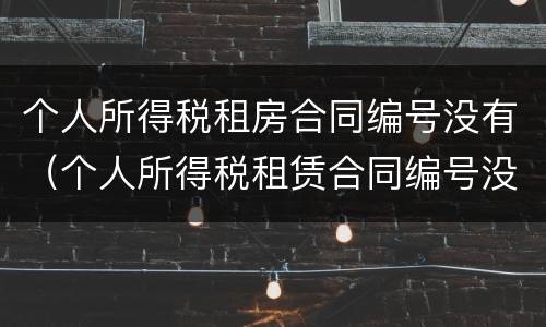 个人所得税租房合同编号没有（个人所得税租赁合同编号没有怎么办）