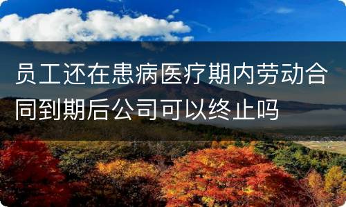 员工还在患病医疗期内劳动合同到期后公司可以终止吗