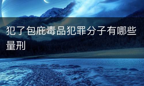 犯了包庇毒品犯罪分子有哪些量刑