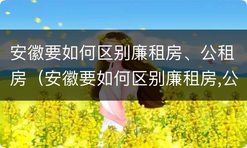 安徽要如何区别廉租房、公租房（安徽要如何区别廉租房,公租房和住宅）