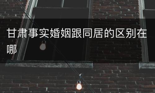 甘肃事实婚姻跟同居的区别在哪