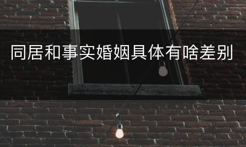 同居和事实婚姻具体有啥差别