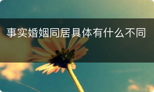 事实婚姻同居具体有什么不同