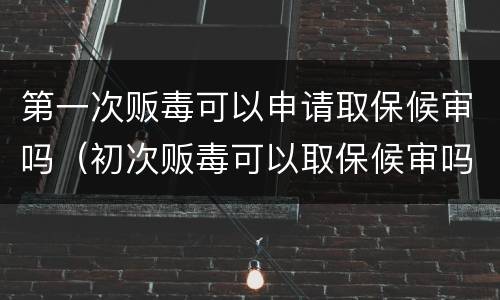 第一次贩毒可以申请取保候审吗（初次贩毒可以取保候审吗）