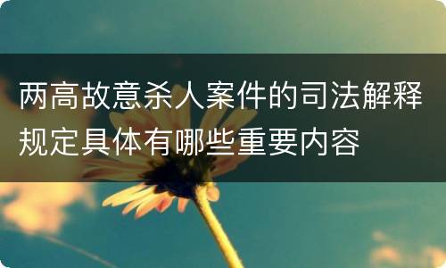 两高故意杀人案件的司法解释规定具体有哪些重要内容