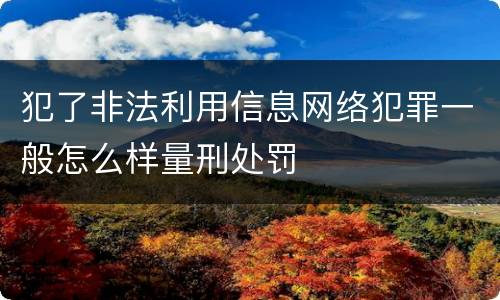 犯了非法利用信息网络犯罪一般怎么样量刑处罚