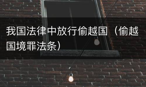 我国法律中放行偷越国（偷越国境罪法条）