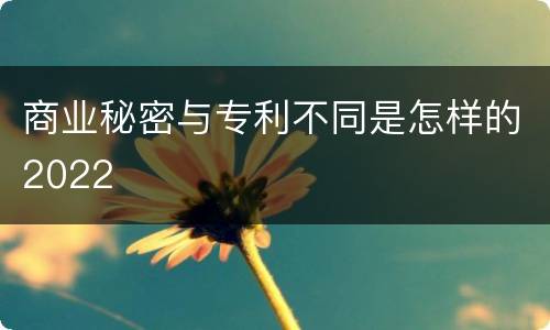 商业秘密与专利不同是怎样的2022