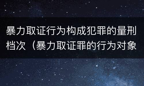 暴力取证行为构成犯罪的量刑档次（暴力取证罪的行为对象是）