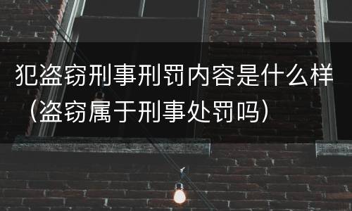 犯盗窃刑事刑罚内容是什么样（盗窃属于刑事处罚吗）