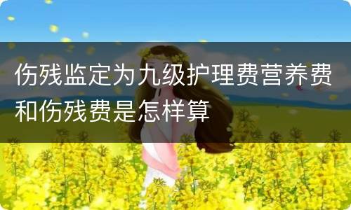 伤残监定为九级护理费营养费和伤残费是怎样算