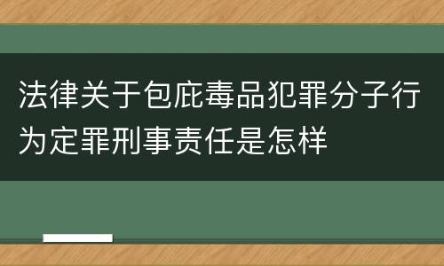 法律关于包庇毒品犯罪分子行为定罪刑事责任是怎样