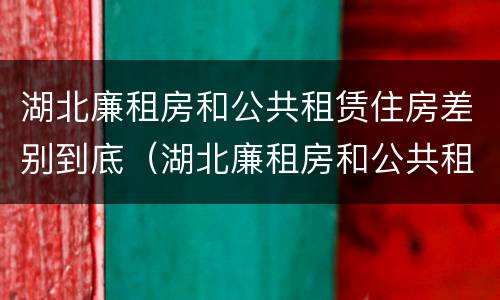 湖北廉租房和公共租赁住房差别到底（湖北廉租房和公共租赁住房差别到底有多大）