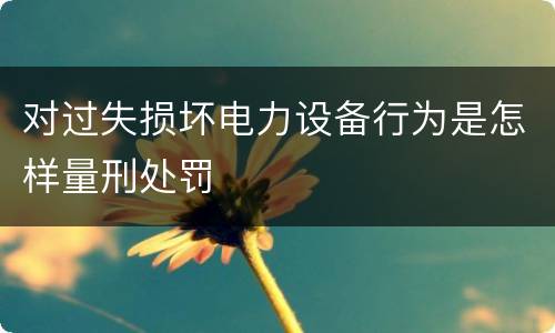 对过失损坏电力设备行为是怎样量刑处罚