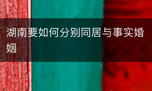 湖南要如何分别同居与事实婚姻