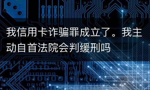 我信用卡诈骗罪成立了。我主动自首法院会判缓刑吗