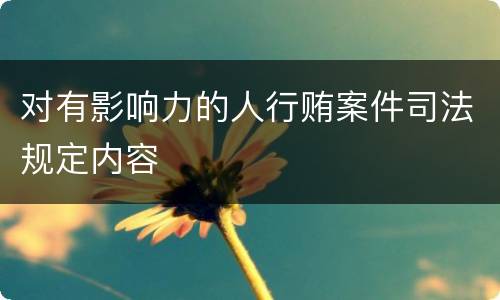 对有影响力的人行贿案件司法规定内容