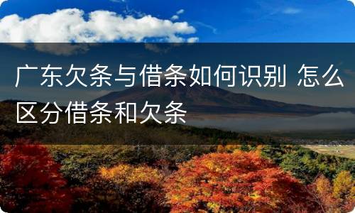 广东欠条与借条如何识别 怎么区分借条和欠条