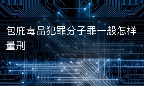 包庇毒品犯罪分子罪一般怎样量刑